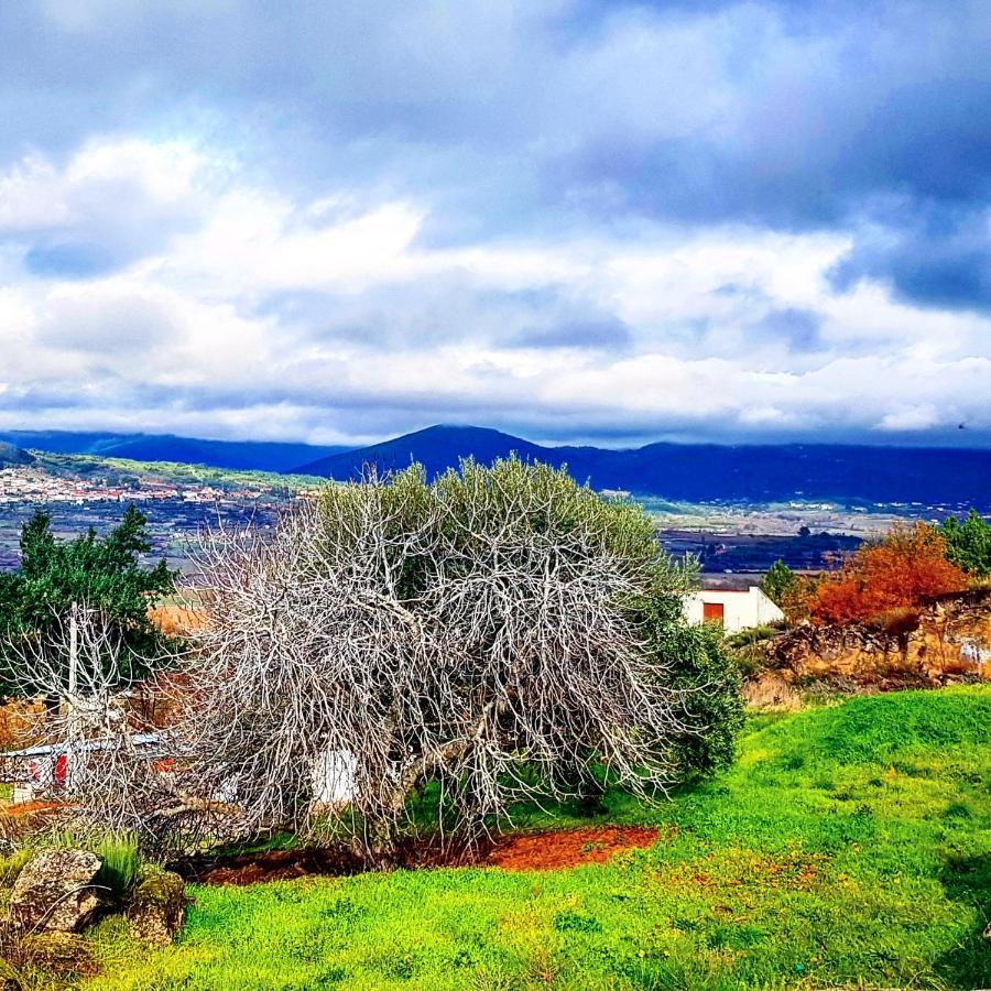 Branca Goncalves Belmonte Villa Belmonte  Bagian luar foto